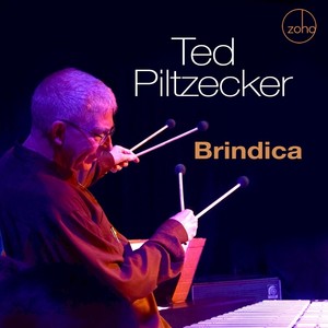 Ted Piltzecker - Look at It Like This