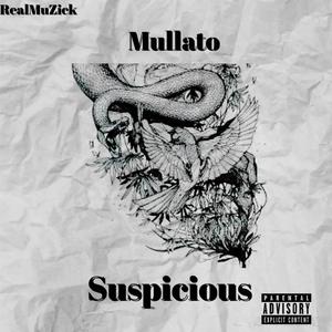 Suspicious (feat. RealMuZick) (Explicit)