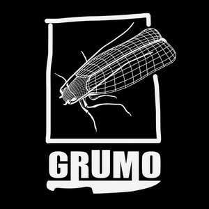 Abandona Tu Alma (Explicit)