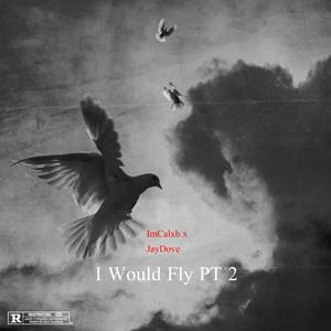 I Would Fly (feat. JayDove) [Remix] [Explicit]