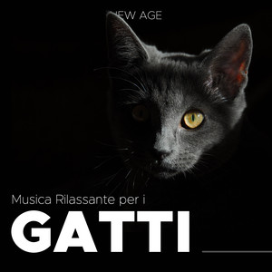 Musica per i Gatti: Canzoni per Gatti Rilassanti New Age