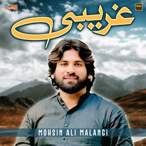 Gareebi (Assan Key Tain Gareebi Nu)