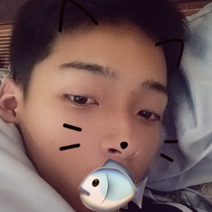 青春已再奉献DJ