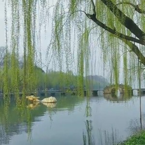 你弄丢了视你如命的人