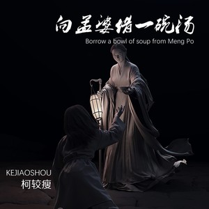 向孟婆借一碗汤 (DJ版)封面