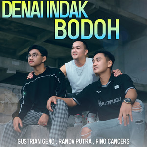 Denai Indak Bodoh