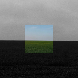 Сухая верба