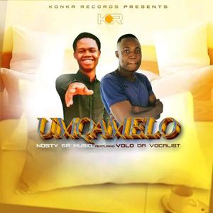 Umqamelo (feat. Volo daa vocalist)