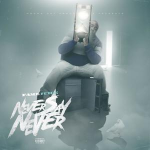 Never Say Never (Explicit)