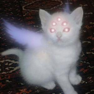 take me back to hell (Explicit)