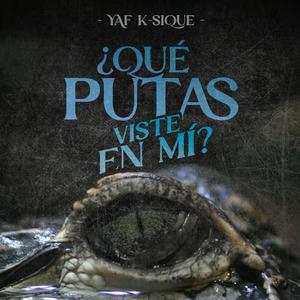 ¿Qué putas viste en mí? (feat. Dimelo Fvcu) (Explicit)