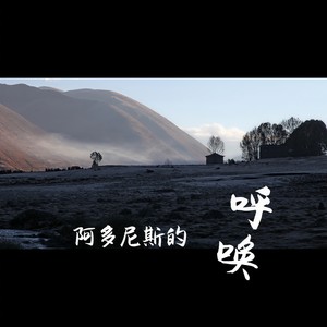 阿多尼斯的呼唤