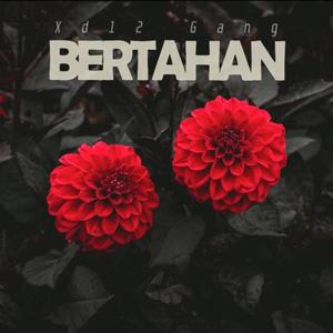 Bertahan