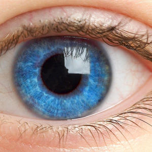 if you straight why you wearing dresses (Explicit)