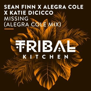 Missing (Alegra Cole Mix)