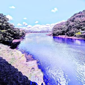 I still look at our old photos at night (feat. d3n)