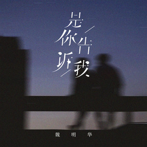 是你告诉我 (伴奏)