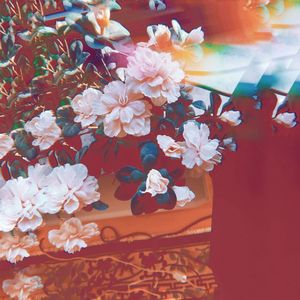 Flowers Dope (Remixes)