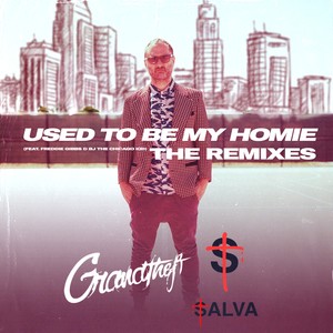 Used to Be My Homie - Salva Remix (Explicit)