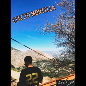 EFECTO MONTILLA