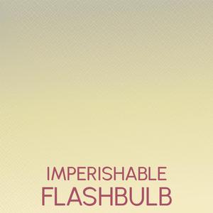 Imperishable Flashbulb