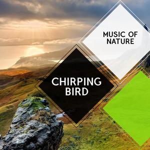 Chirping Bird - Music of Nature