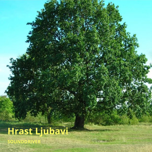 Hrast Ljubavi