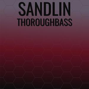 Sandlin Thoroughbass