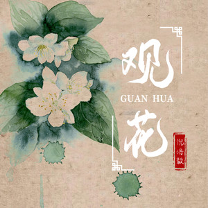观花 (DJ名龙版)封面