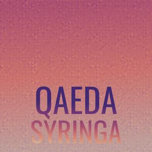 Qaeda Syringa