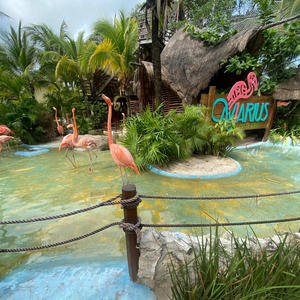 GEORGIA PEACH (Explicit)