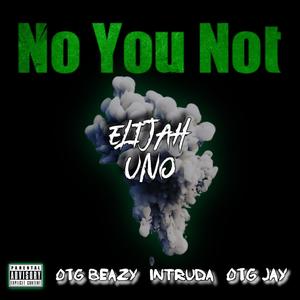 No You Not (feat. OTG Beazy, Intruda & OTG Jay) [Explicit]