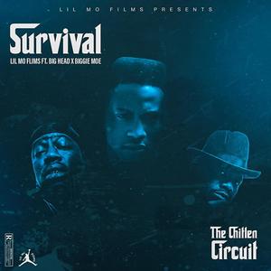 SURVIVAL (feat. BIG HEAD DA DOMEDOCTOR & BIGGIE MOE) [Explicit]