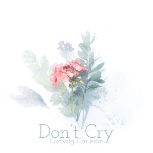 Don't Cry