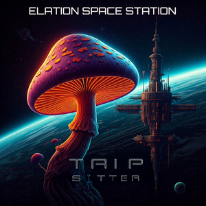 Elation Space Station