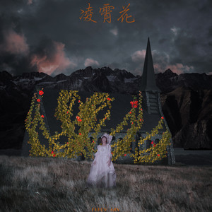 능소화 (Trumpet Creeper)