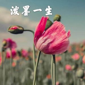 高高 - 三国恋