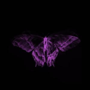 Lay With Me (feat. Kasire) (Sped Up & Pitched) (Explicit)