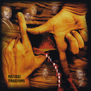 Natural Vibrations - Stoney Dub