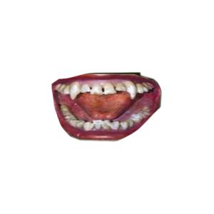 killed my mood (Explicit)