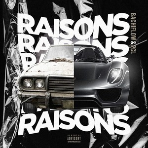 Raisons (Explicit)