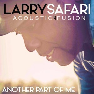 Acoustic Fusion - Another Part of Me