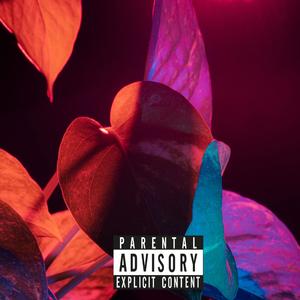 Shawnny P - Westside Baby