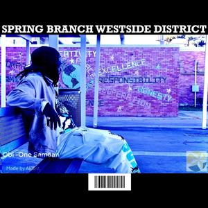 SPRING BRANCH WESTSIDE DISTRICT (Explicit)