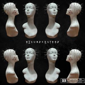 m i s u n d e r s t o o d (Explicit)