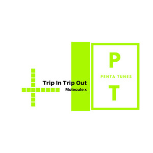 Trip In Trip Out (Original Mix)