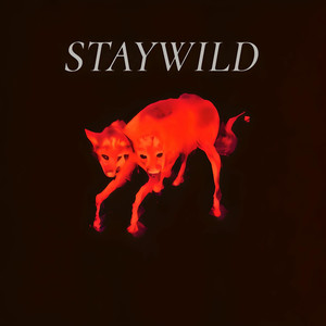 Stay Wild (Explicit)