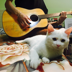 生命中最美丽的一天