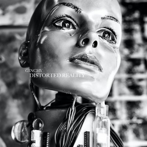 Distorted Reality (Extended Version)