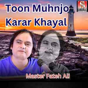 Toon Muhnjo Karar Khayal